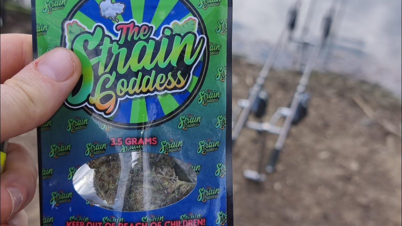 oreoz the strain goddess weed review and smoke up cannabis rsosos 420
