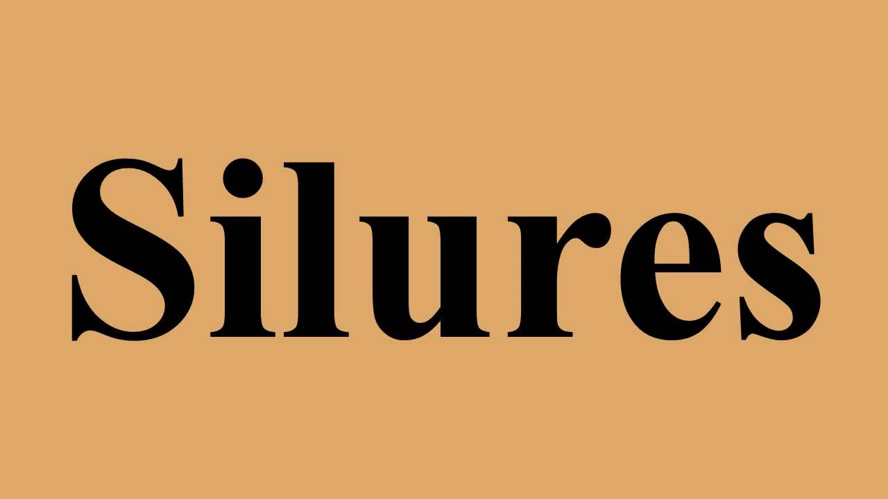 Silures