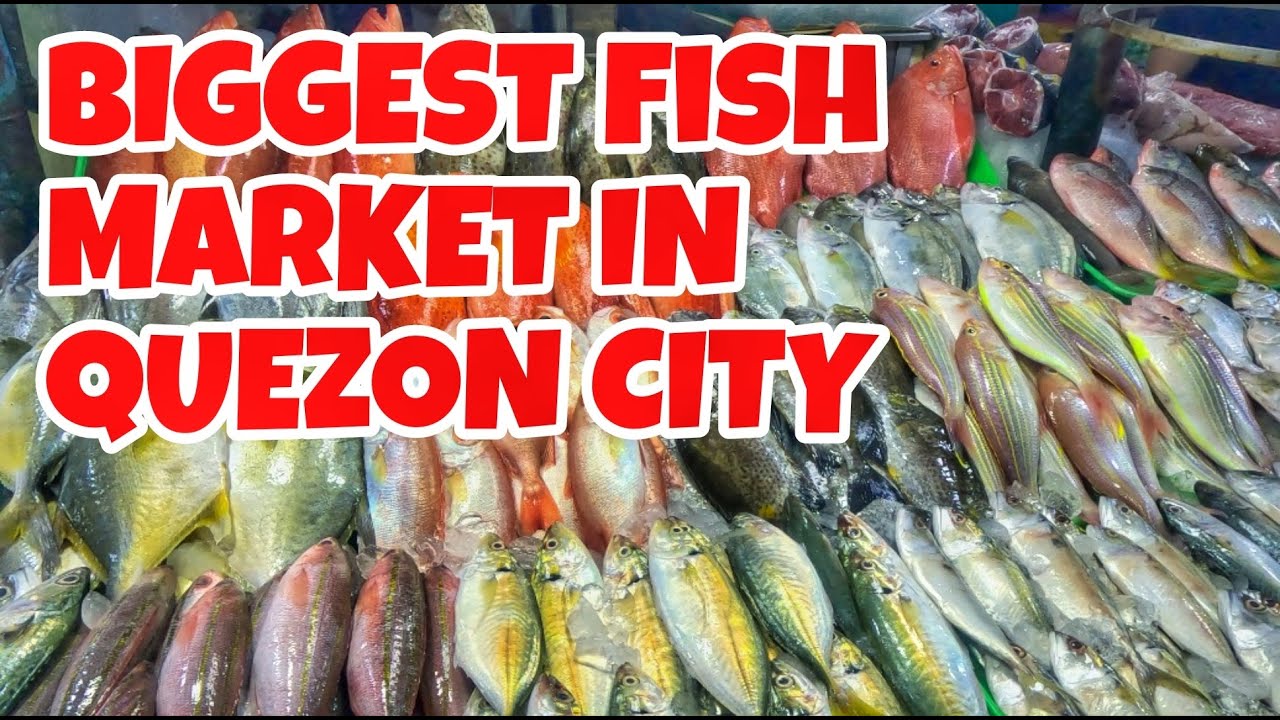 FARMERS MARKET CUBAO | Biggest Fish Market In Quezon City