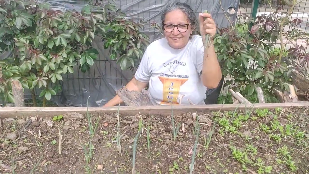 Cuidando do meio ambiente cultivando O Canteiro 