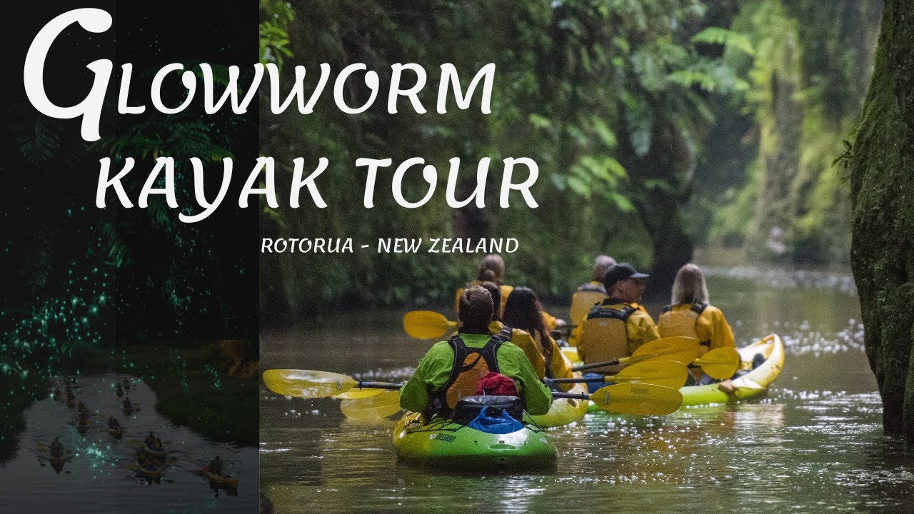 Glowworm Kayak Tour | Rotorua | New Zealand | 4K