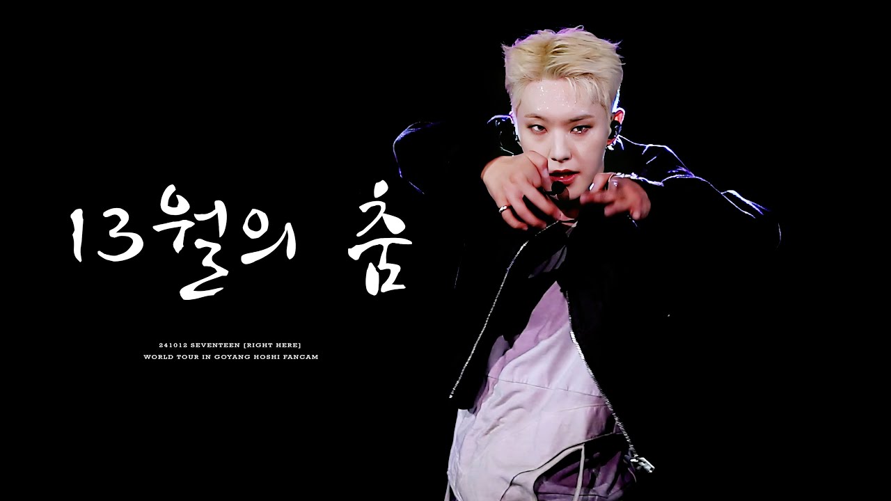 [4K-2 Multi ver.]241012 SEVENTEEN RIIGHT HERE 고양 -13월의 춤- 호시 HOSHI Focus 직캠