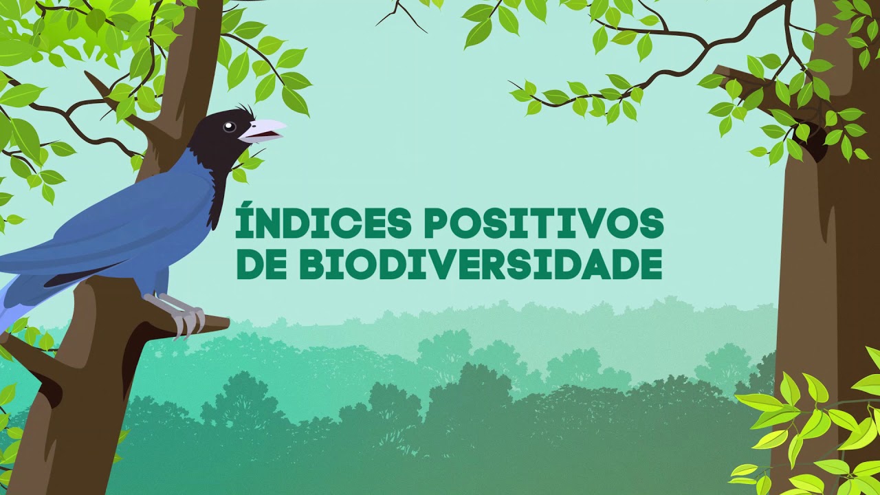 Biodiversidade