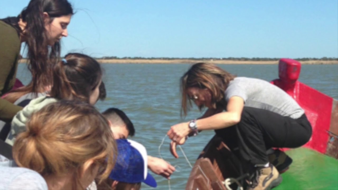 Webinar on Science Outdoor Education: challenges in science teacher training