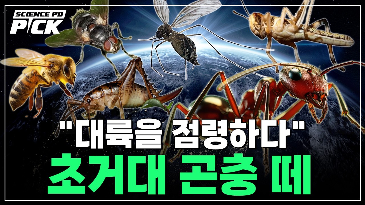 “6,000km 초거대 곤충 떼가..” 우리가 몰랐던 곤충의 세계! 이미 대륙을 정복한 침입종의 정체? (갈로아 작가 출연) [Science PD Pick] / YTN 사이언스