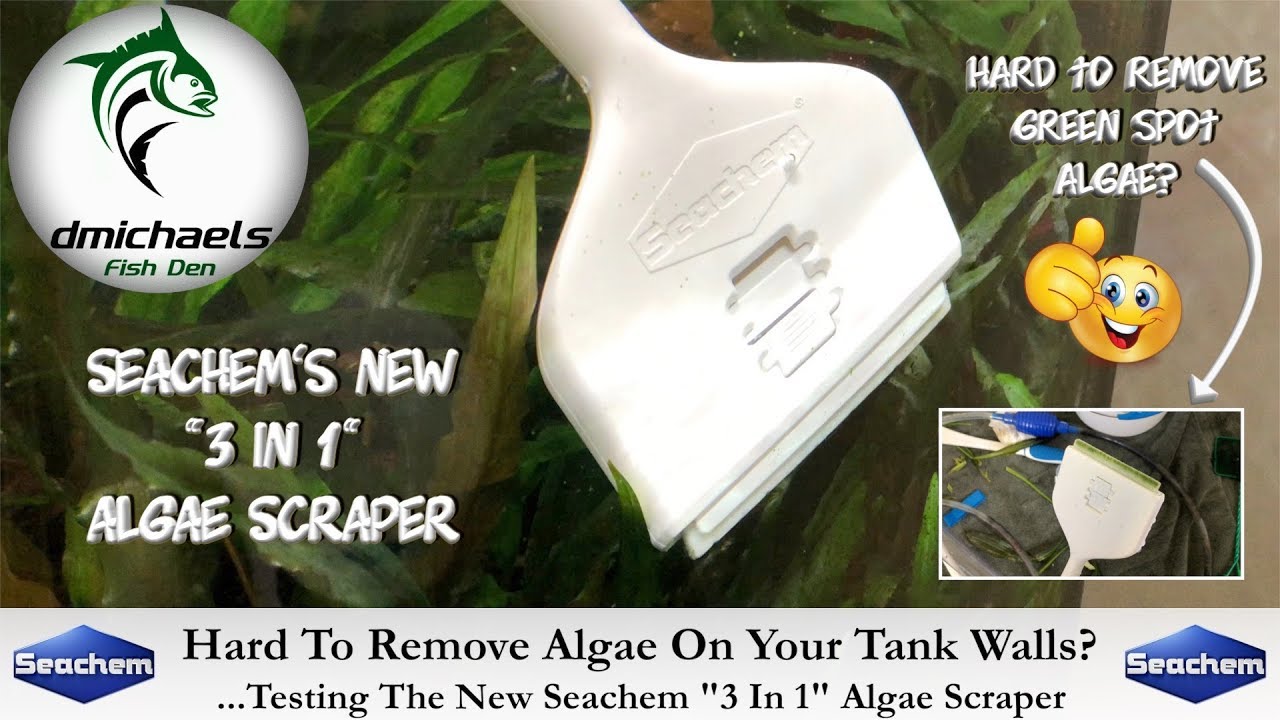 Hard To Remove Algae On Your Tank's Walls?...Testing The New Seachem 