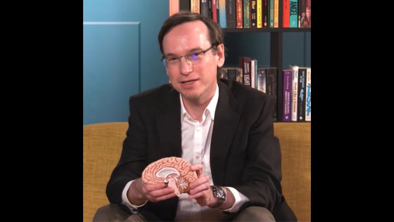 Notts TV interview: New research programme to develop non-invasive interventions for mental health