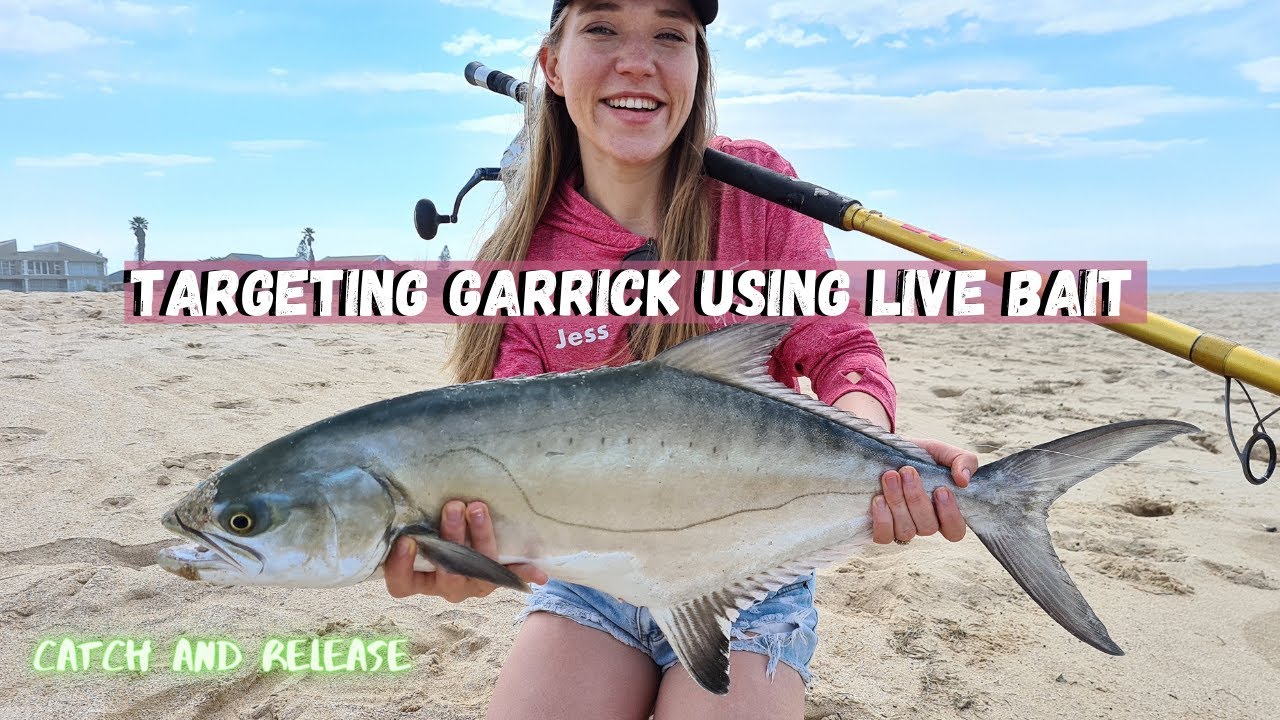 Targeting fish in the surf-zone using live mullet// Bae finally joins!