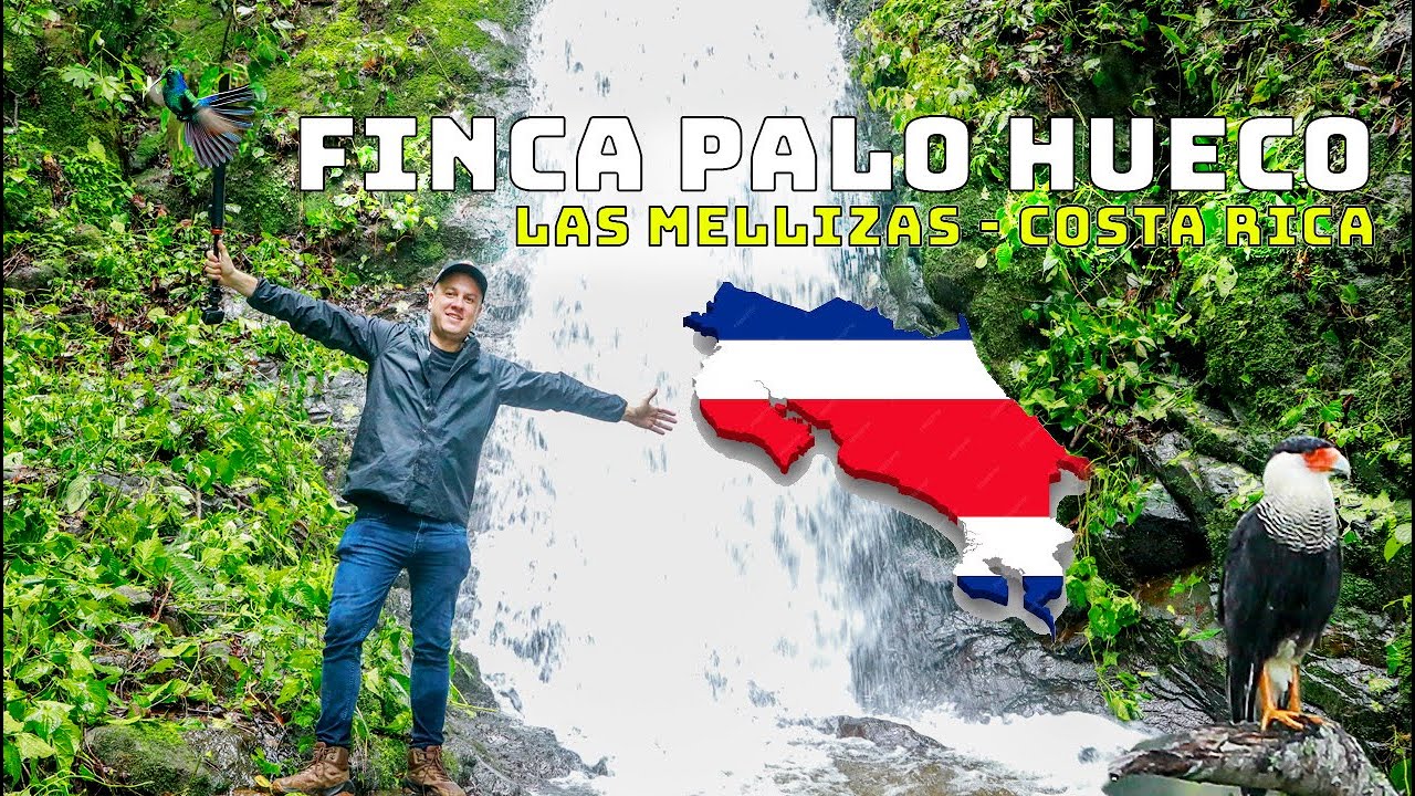 Asi es Finca Palo Hueco Mellizas, Sabalito, COSTA RICA un lugar de ensue&ntilde;o | PARAISO Natural 🦅🌼