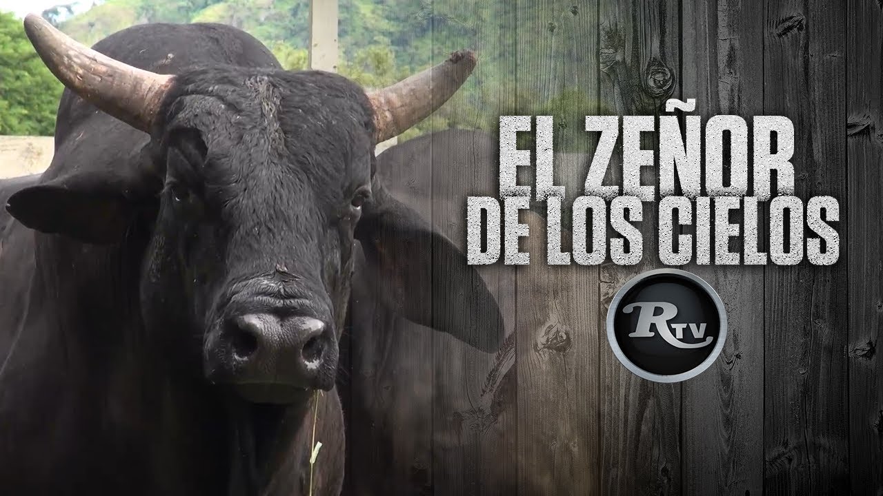 🔥✈️ TORO El Zeñor de Los Cielos Rancho Copal LOS MEJORES TOROS | RysolTV