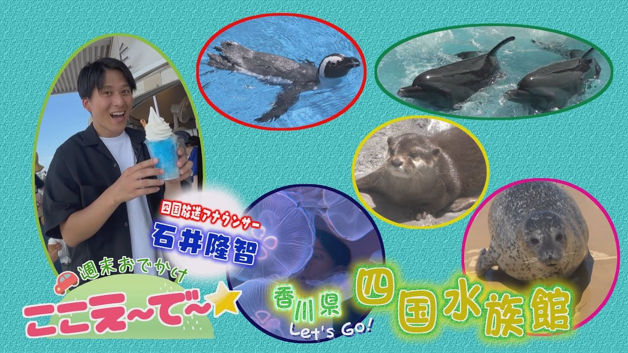 【ゴジカル！】週末おでかけ！ここえ～で～★・四国水族館（香川県）