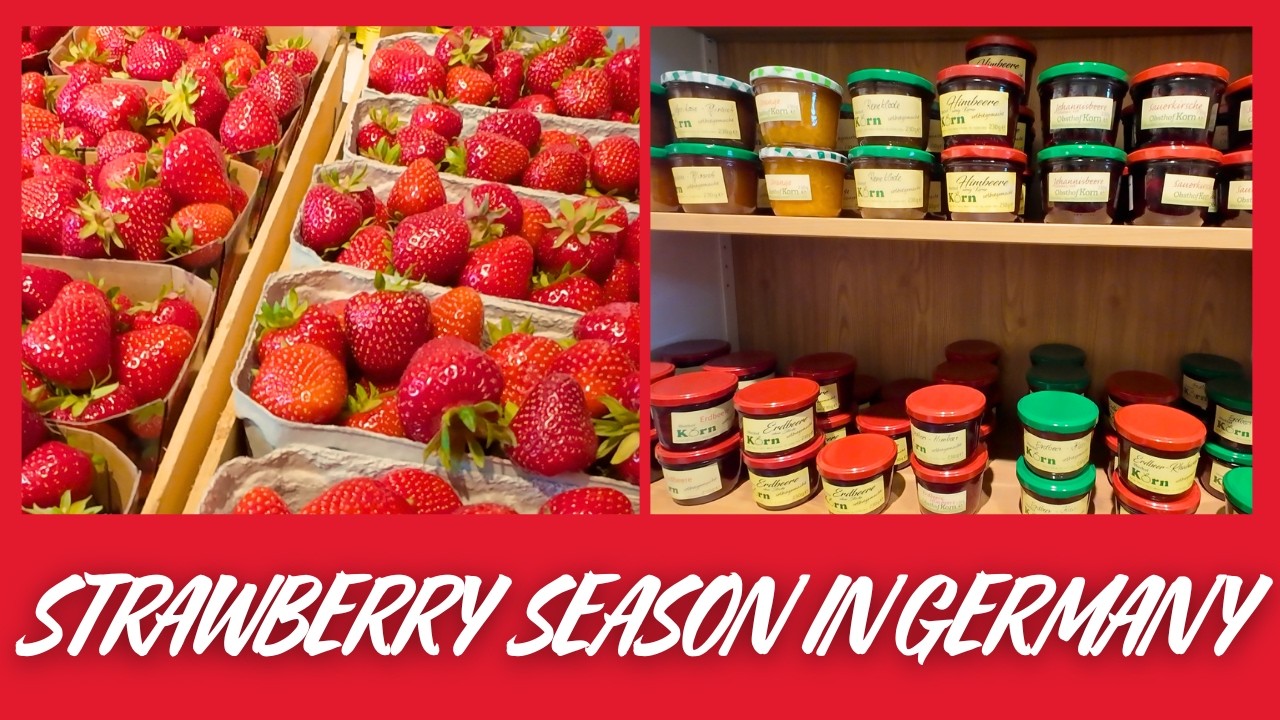 Strawberry Picking Gone Sweetly Wrong I Summer I Germany I Obsthof Korn I 4K Vlog