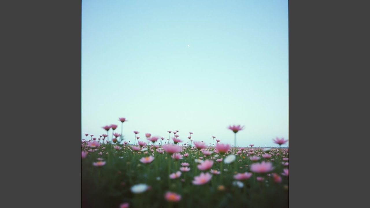 Un amore che non