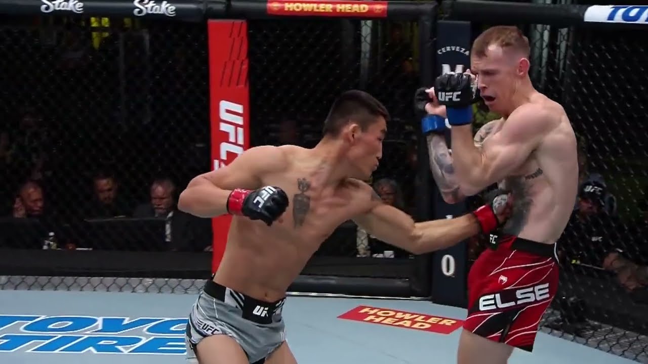 AORIQILENG PERFECT BODY SHOT UFC FIGHT NIGHT 205