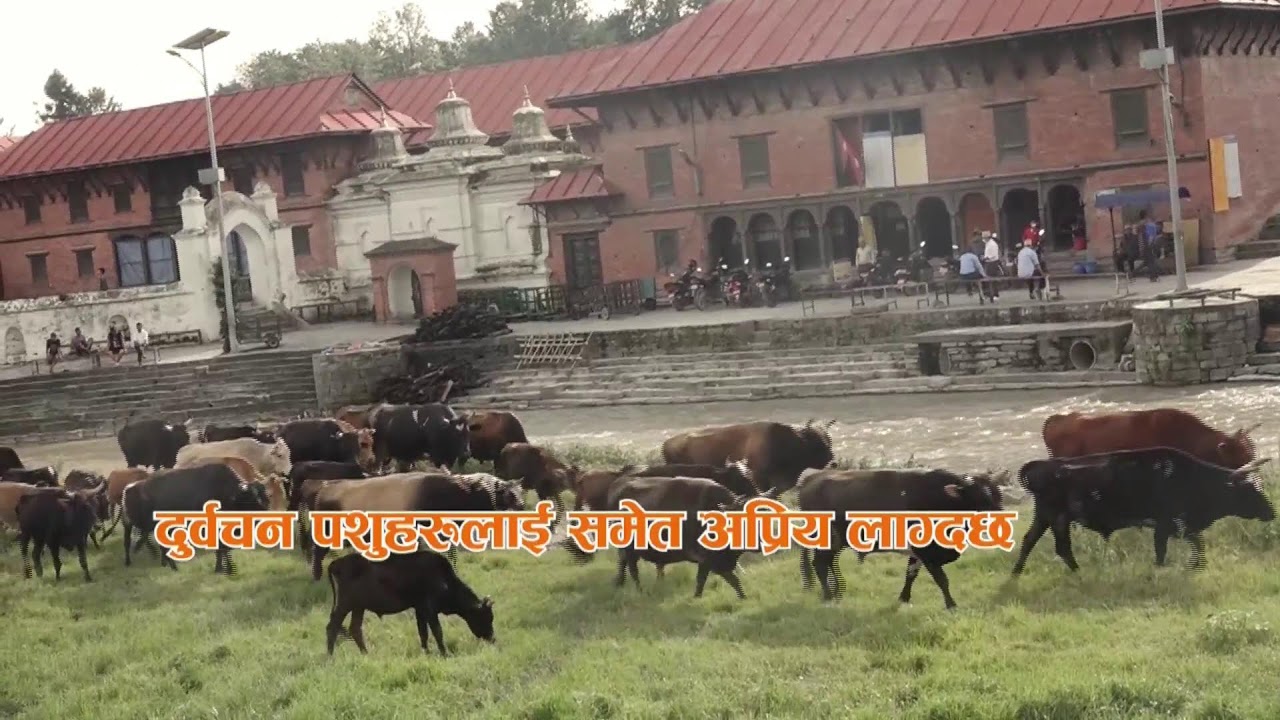 आध्यात्मिक चिन्तन द्वारा भौतिक विकासमा समर्पित ॐकार ध्वनि ||