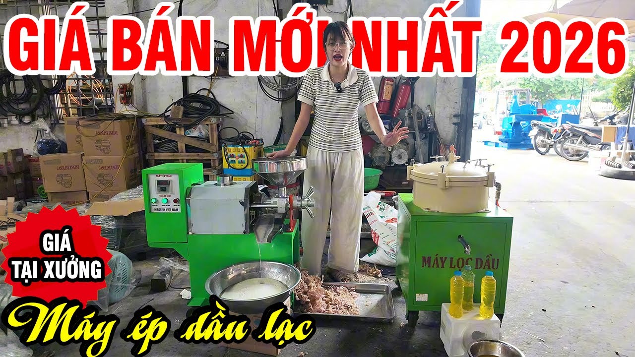 🔥 Top Các Lý Do Máy Ép Dầu Lạc Là Lựa Chọn TỐT Nhất Cho Kinh Doanh Tại Nhà| Bảng Giá 2026