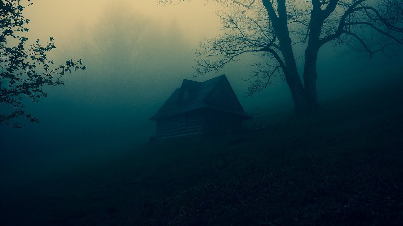 Lost in the Fog | Moody Dark Forest Music Ambience for Calm Autumn Reflection [NO AI]