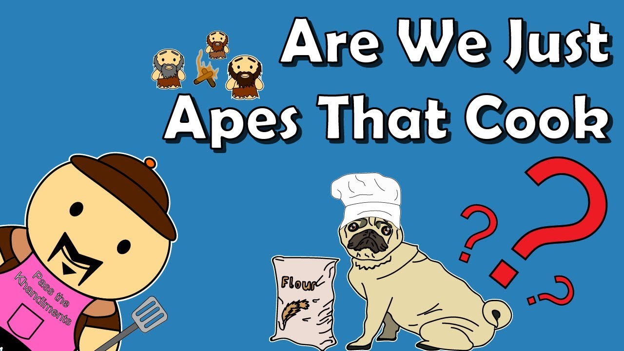 Did Cooking Make Us Smart?