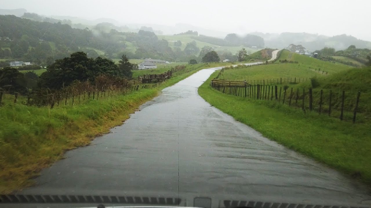 Solo Driving Trip from Auckland City to Cape Reinga 2/3 | # New Zealand 10