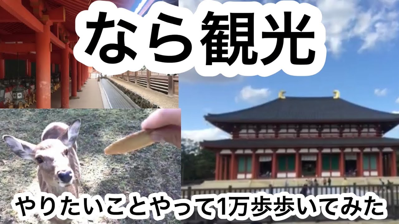 奈良観光　奈良公園やならまち・春日大社へ行ってきた