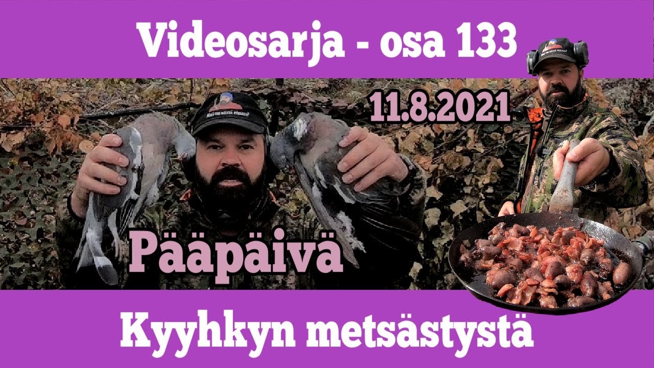Osa 133 - Kyyhkyn metsästystä ruokinnalta  - kausi 2021/2022