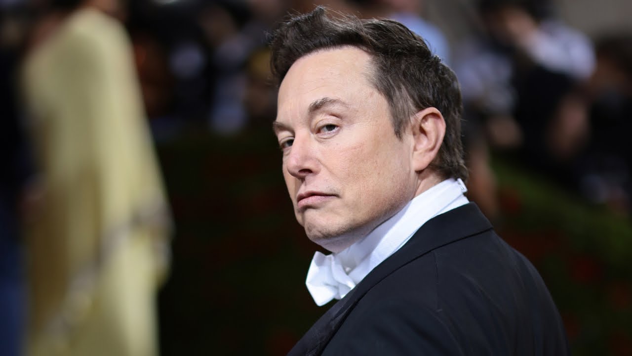 Elon Musk warns underpopulation leading to global population collapse