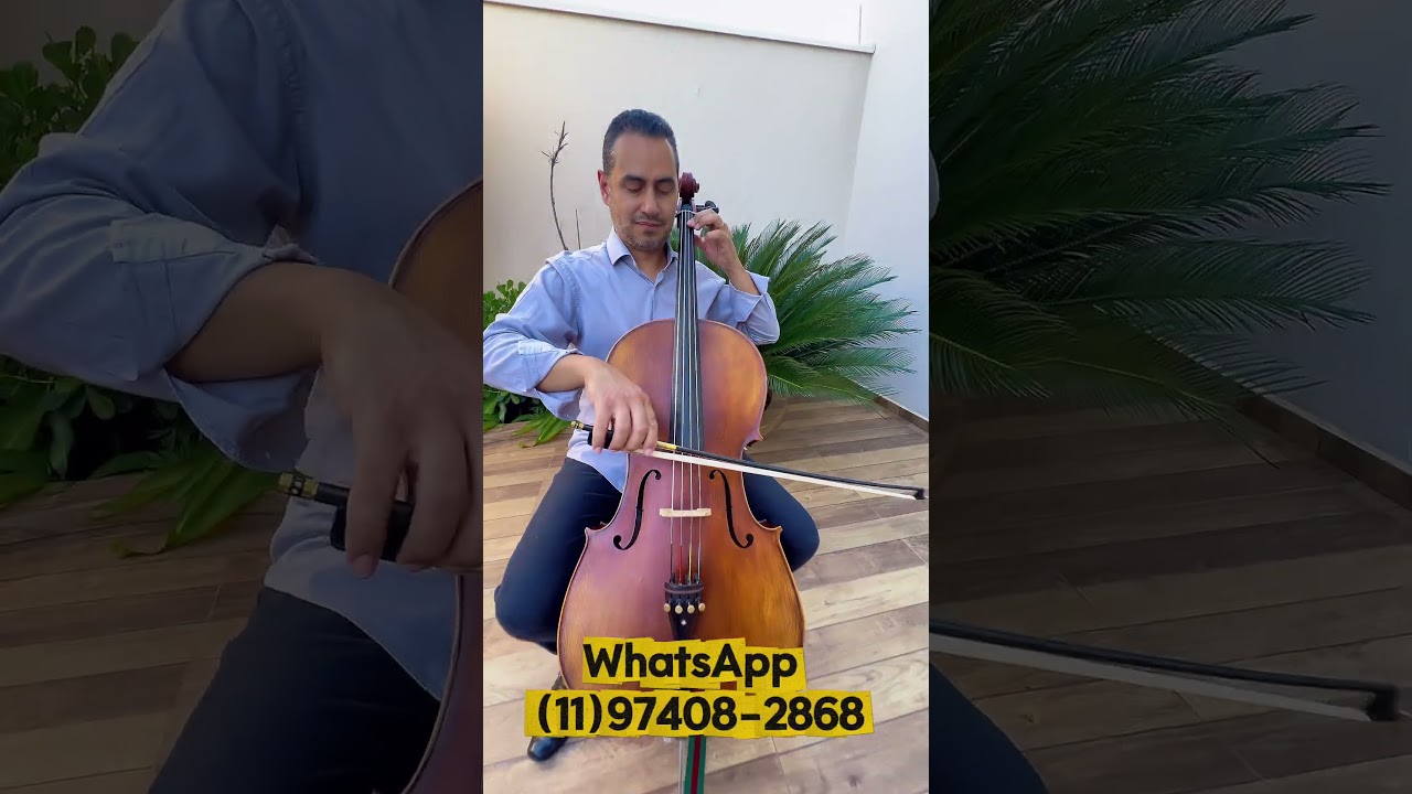 Cello Eagle CE310