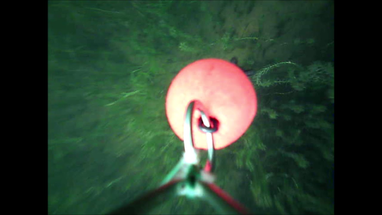 Fishspy Footage - Park Lake Bangers! Deep 'Crystal Clear' Water!