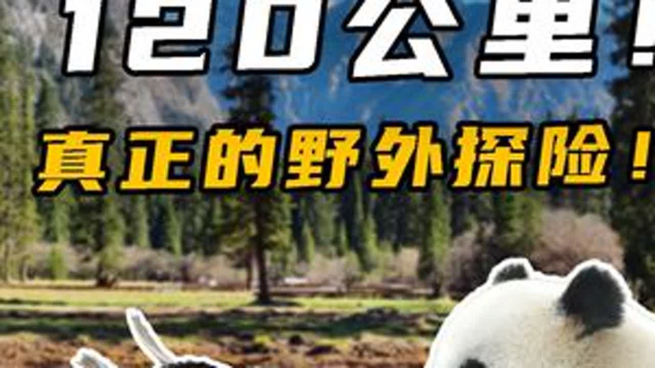 跨越120公里！真正的野外探险！大熊猫国家公园之行！ #国家公园奇境行  #自然奇境科普季   #抖音作者在国家公园闻上熊猫粑粑了  #抖音科普作者为国家公园撑腰