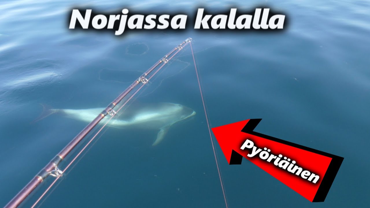 Jäämerellä kalassa | Seiland 2/2