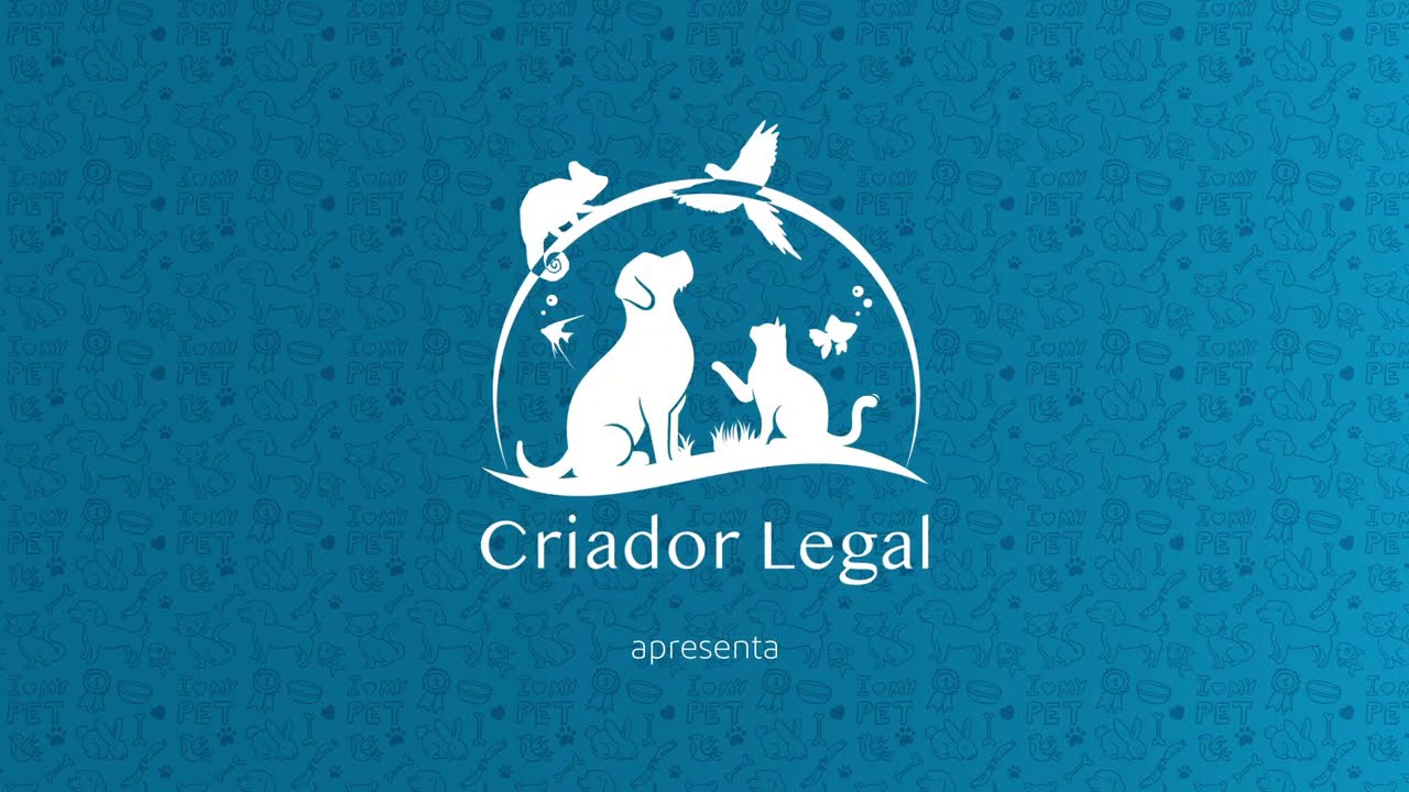 Criando p&aacute;ssaros e preenchendo a vida - com Paulo Gracioli pela Campanha Criador Legal