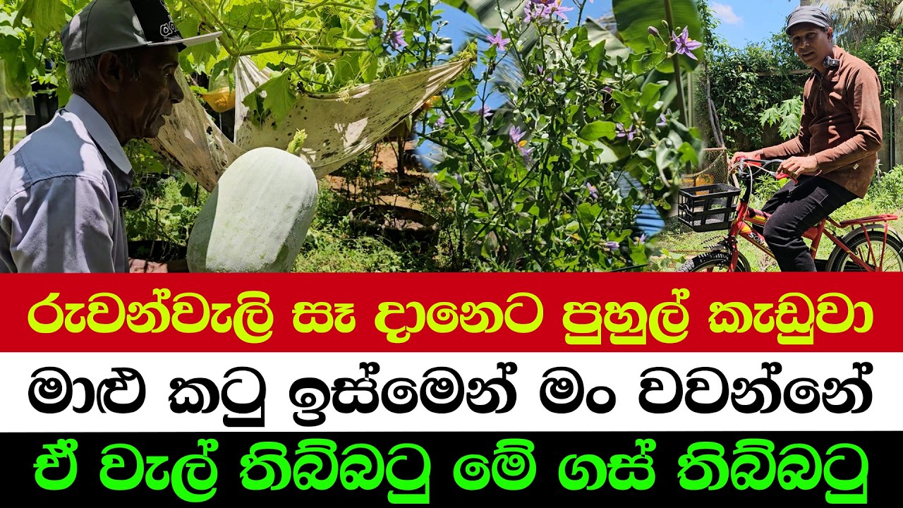 Unbelievable Farming Secret: Fish Bone Fertilizer