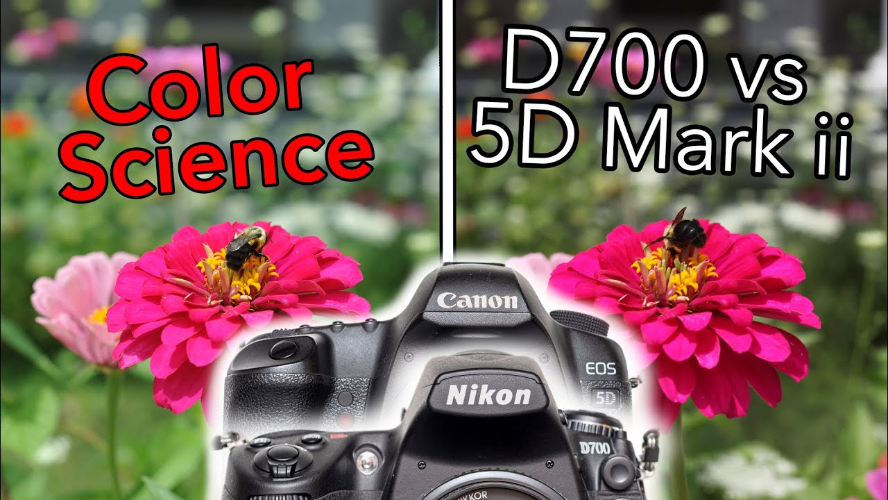 Color Science CANON 5D Mark ii vs NIKON D700 | Which Is Best?