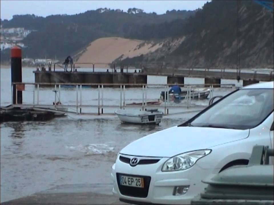 GAIVOTAS  EM SÃO MARTINHO DO PORTO