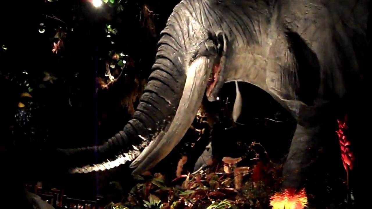 Jasmaih at Rain Forest cafe
