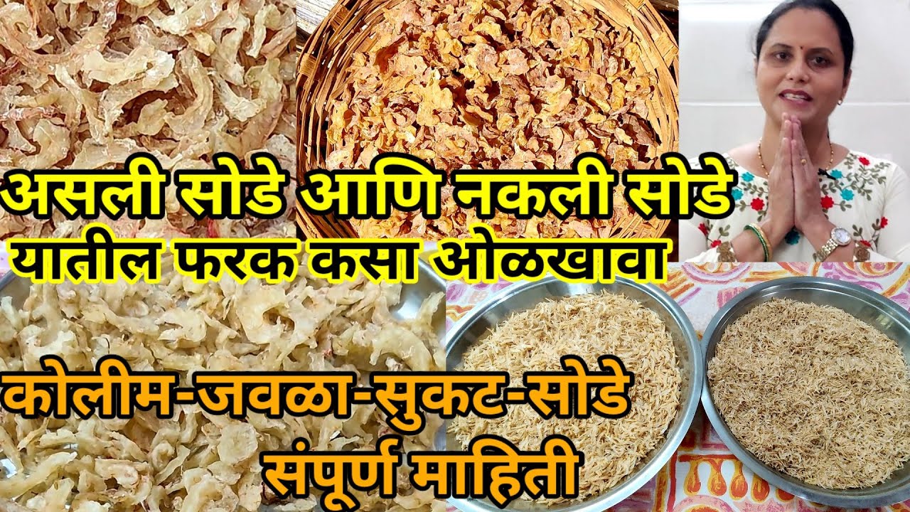 कोलीम-जवळा-सुकट-सोडे संपूर्ण माहिती|असली सोडे आणि नकली सोडे यातील फरक कसा ओळखावा