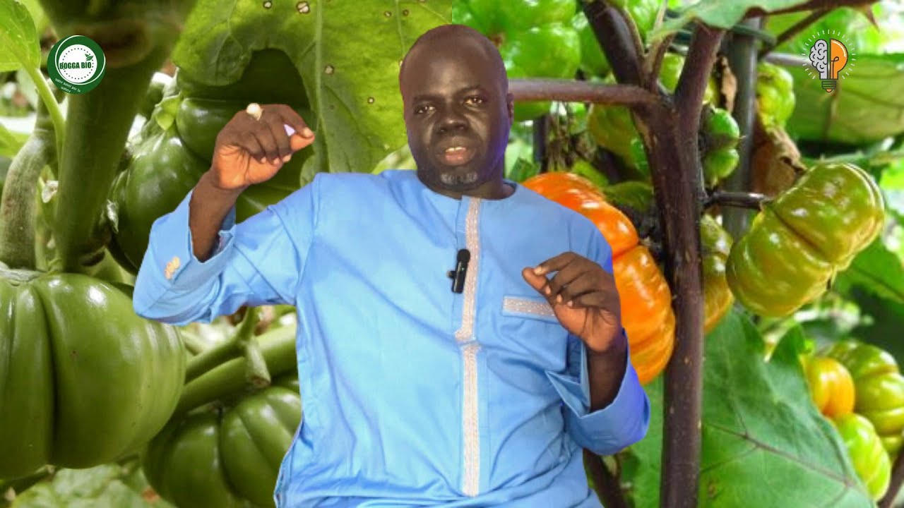 Garabou Diakhatou  - Pr Ousmane Ndiaye - SAMA XALAAT TV