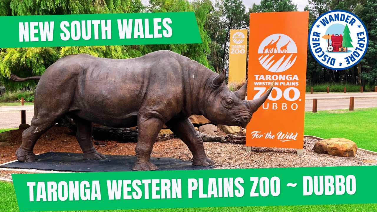 🦏 Taronga Western Plains Zoo Dubbo ~ Discover NSW