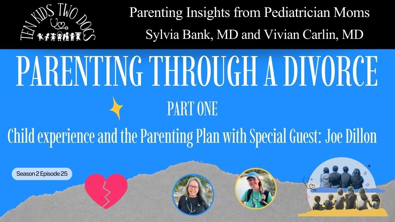 Parenting Through a Divorce Part One #parentingafterdivorce #divorceplanning #ProtectOurChildren