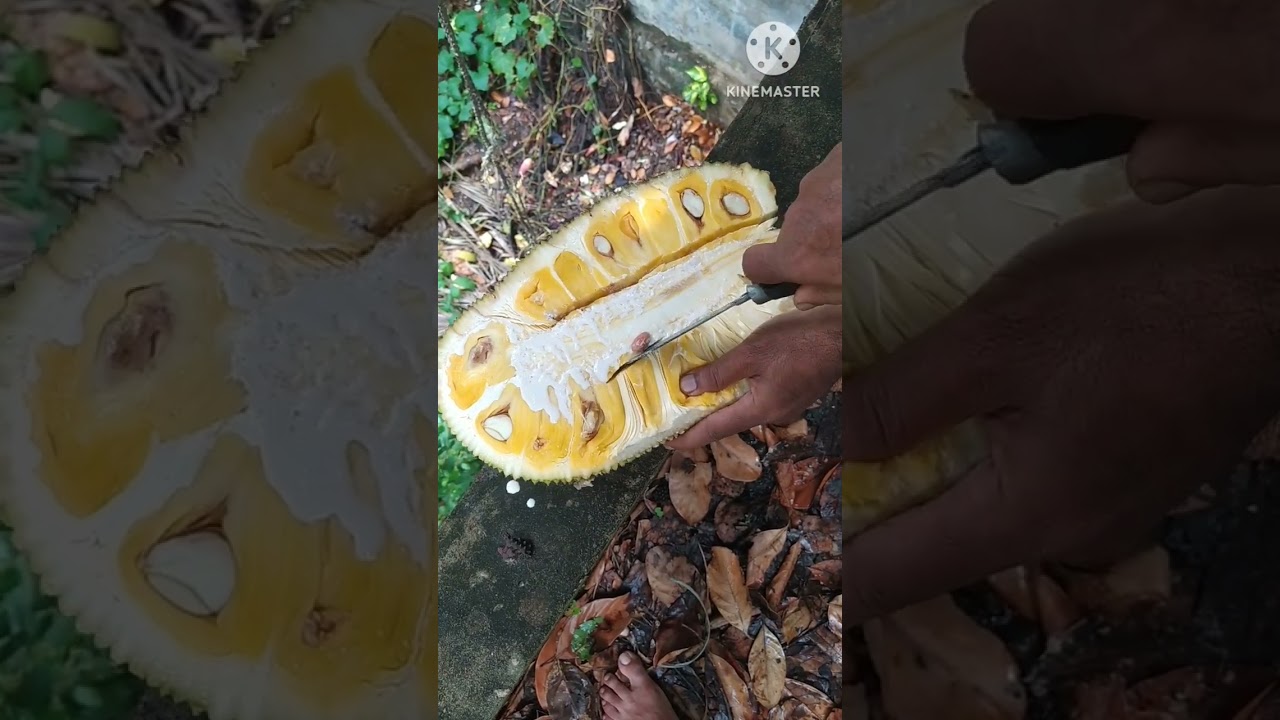 Simple and Easy Jackfruit Cutting Skills #shots