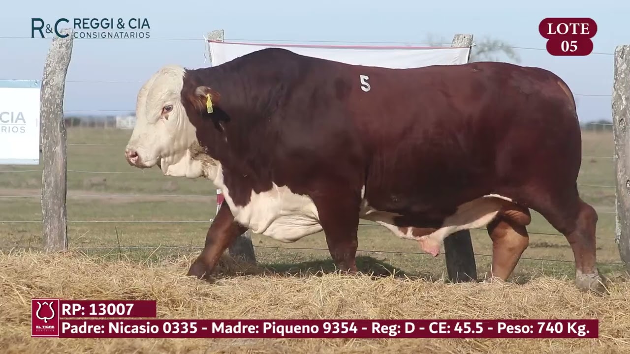 LOTE 05