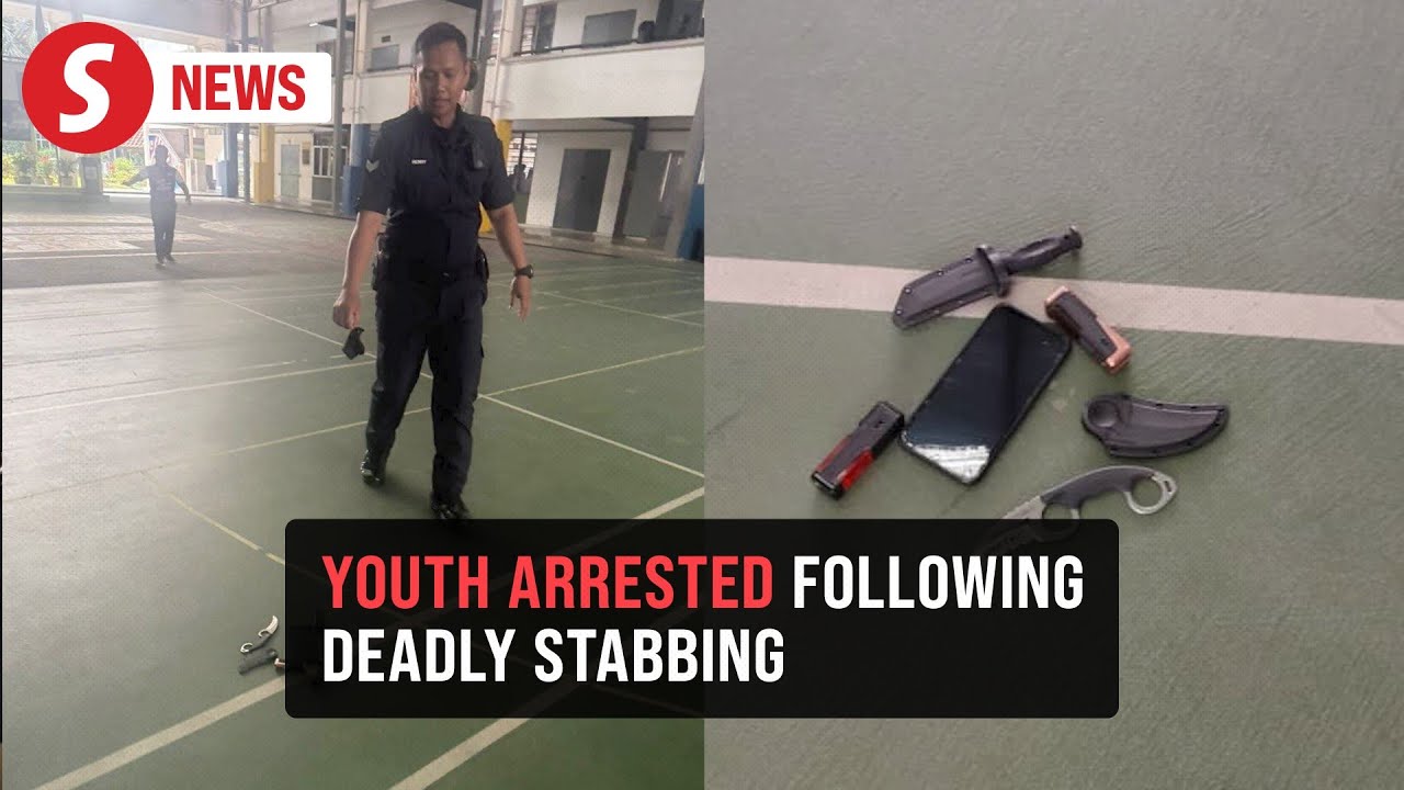 Fourteen-year-old nabbed over fatal stabbing of girl in Bandar Utama