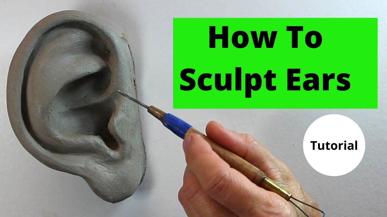 How to sculpt ears in clay. Tutorial.
