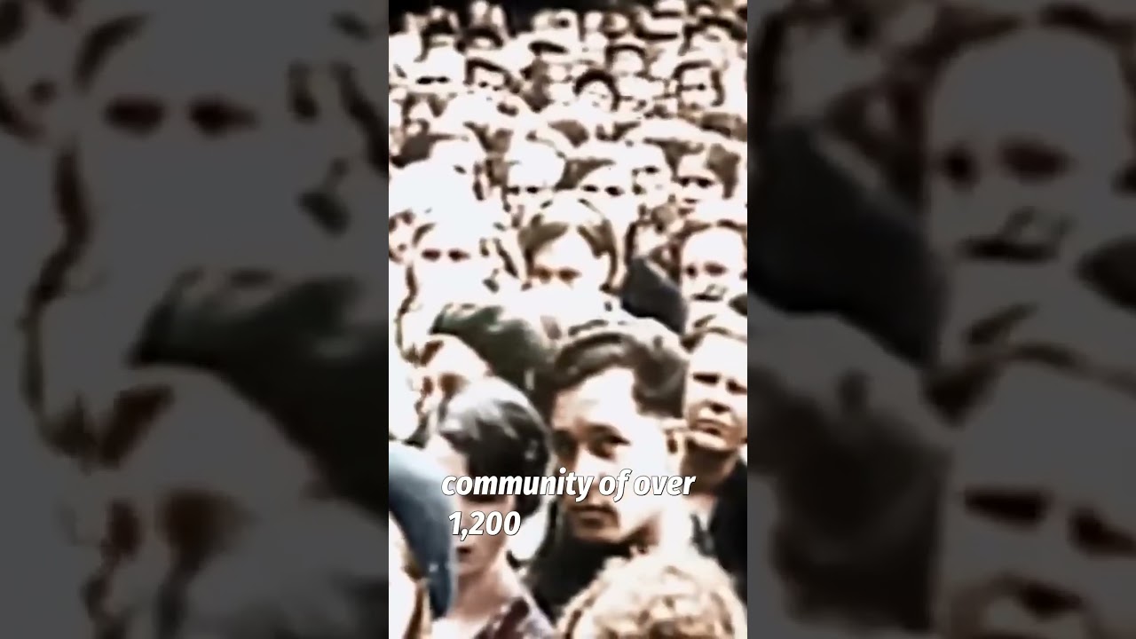 Лесное чудо еврейских братьев: спасение 1200 человек от нацистов.