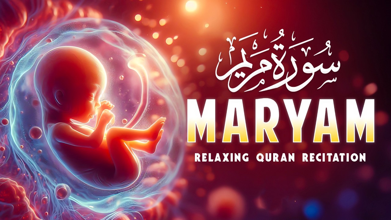 Surah Maryam 💖 | The Miracle of Creation | Baby in Mother’s Womb | Heart Touching Recitation