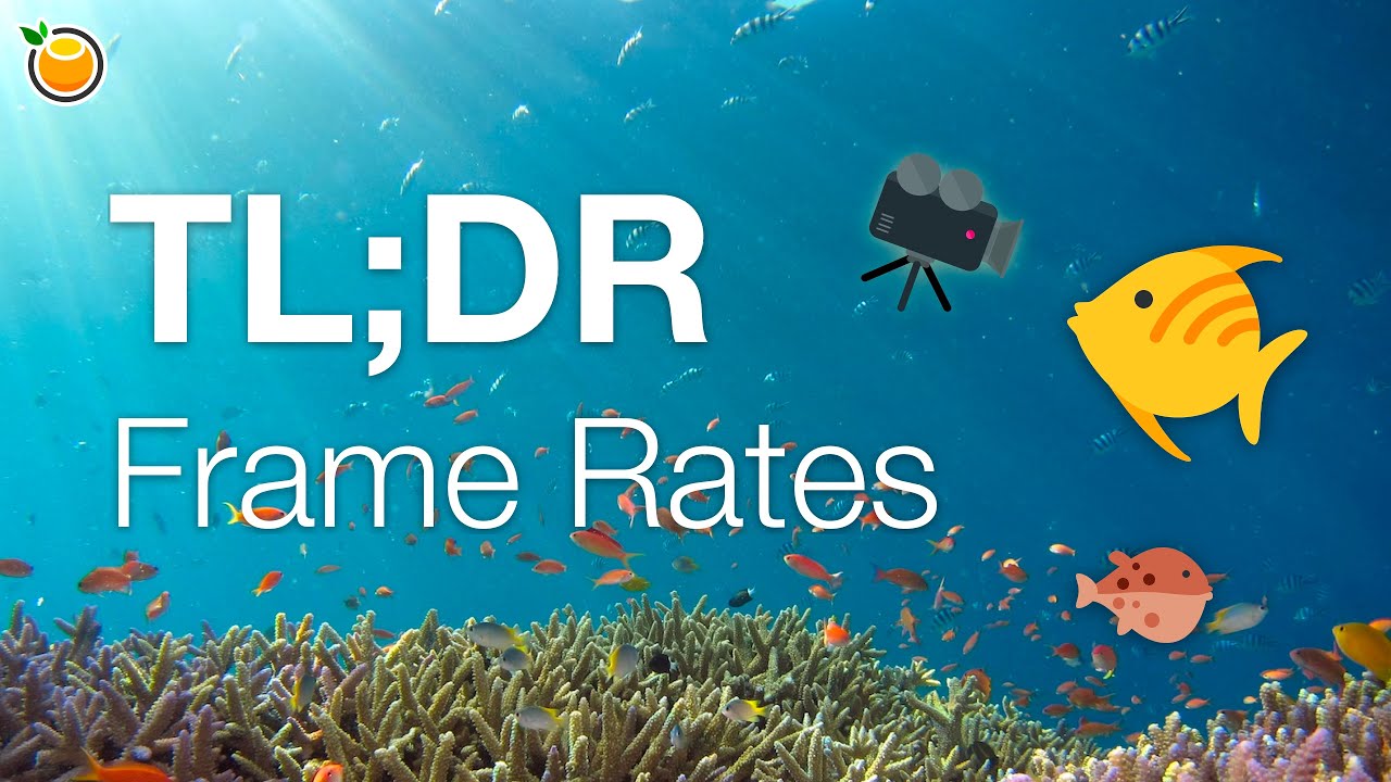 Understanding Frame Rates