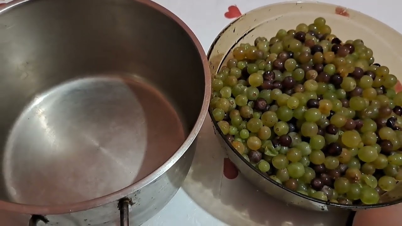 Domaći sok od bijelog grožđa bez dodatka &scaron;ećera i konzervansa  #sok#bezsecera