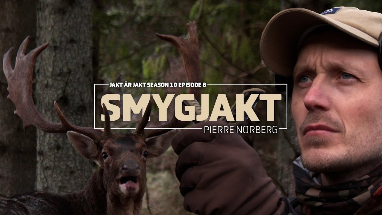Smygjakt&nbsp;p&aring; dovhjort med Pierre och Peter Kullgren &ndash; Jakt med landsbygdsministern | Jakt &auml;r Jakt