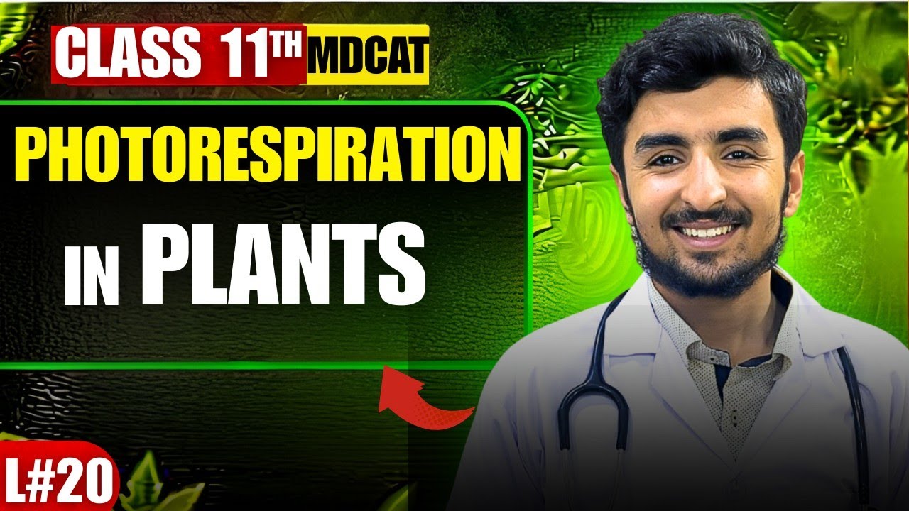 Photorespiration in Plants ☘️ Simplified| Bioenergetics Class 11 Biology