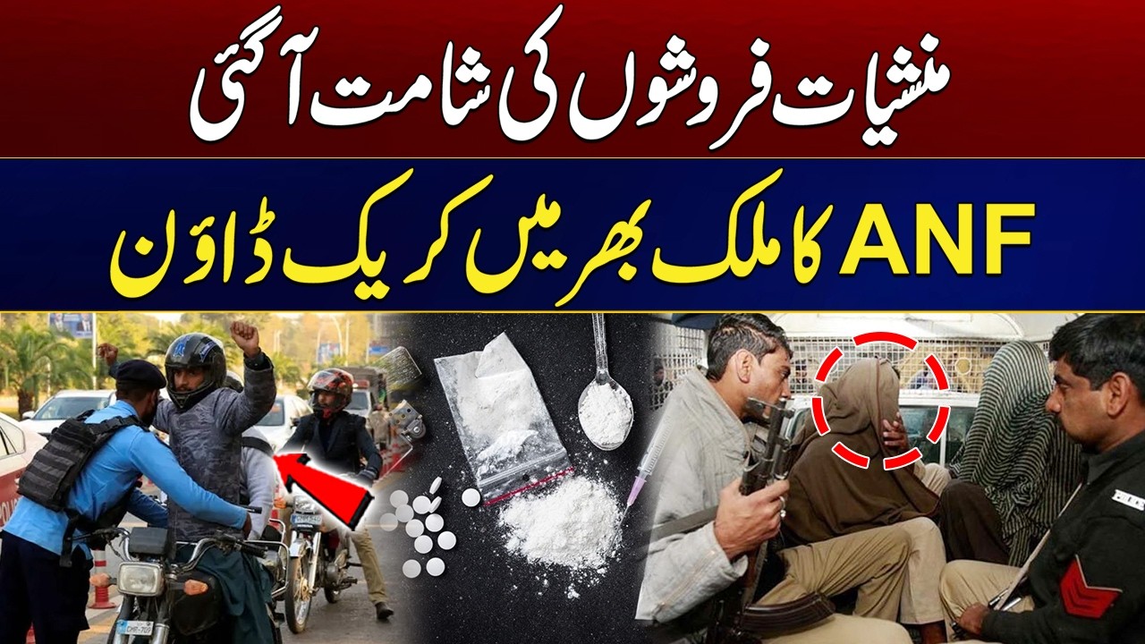 Nationwide Crackdown on Drug Dealers | ANF Takes Major Action | Breaking News | City 21